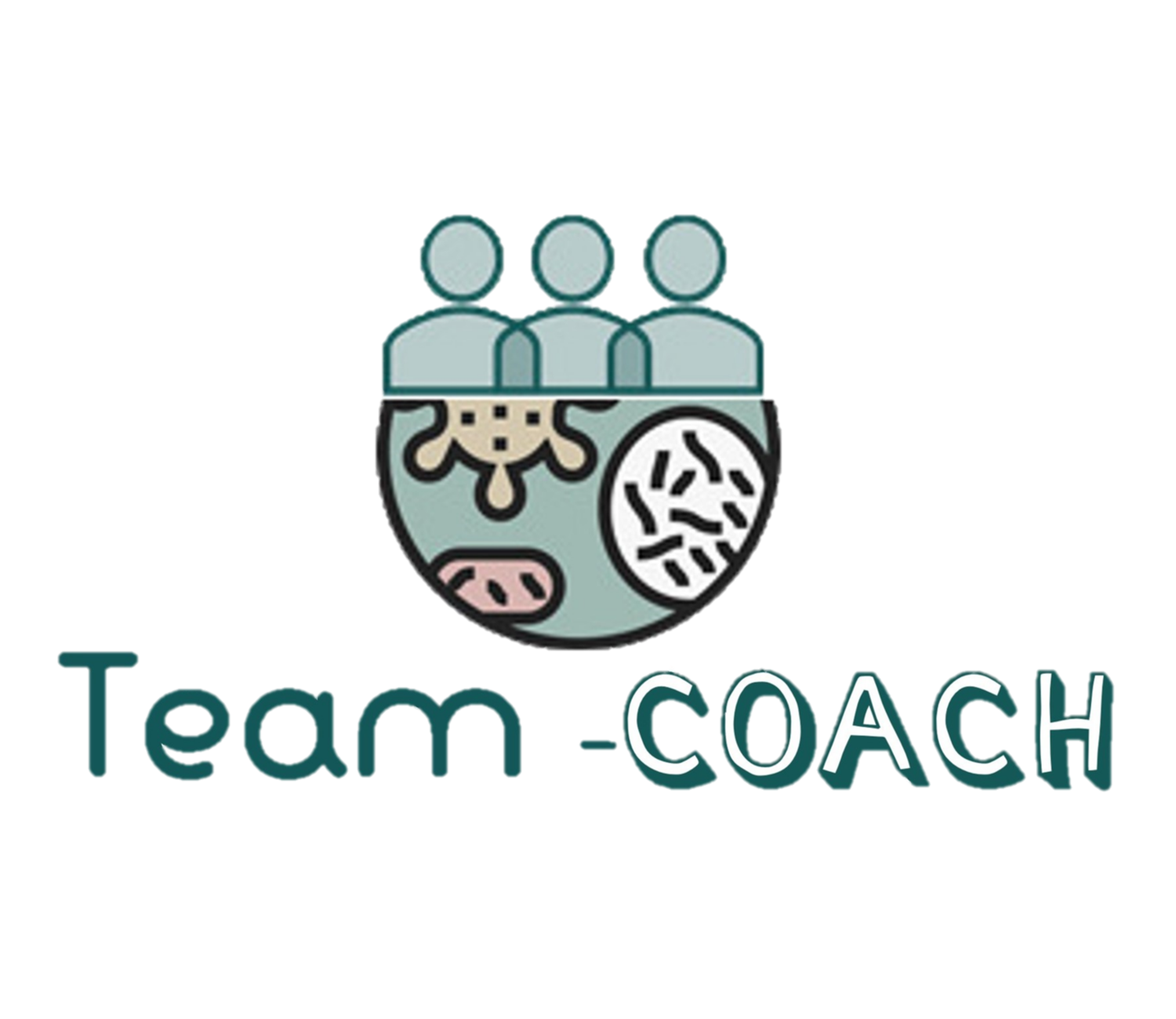 Team Coach